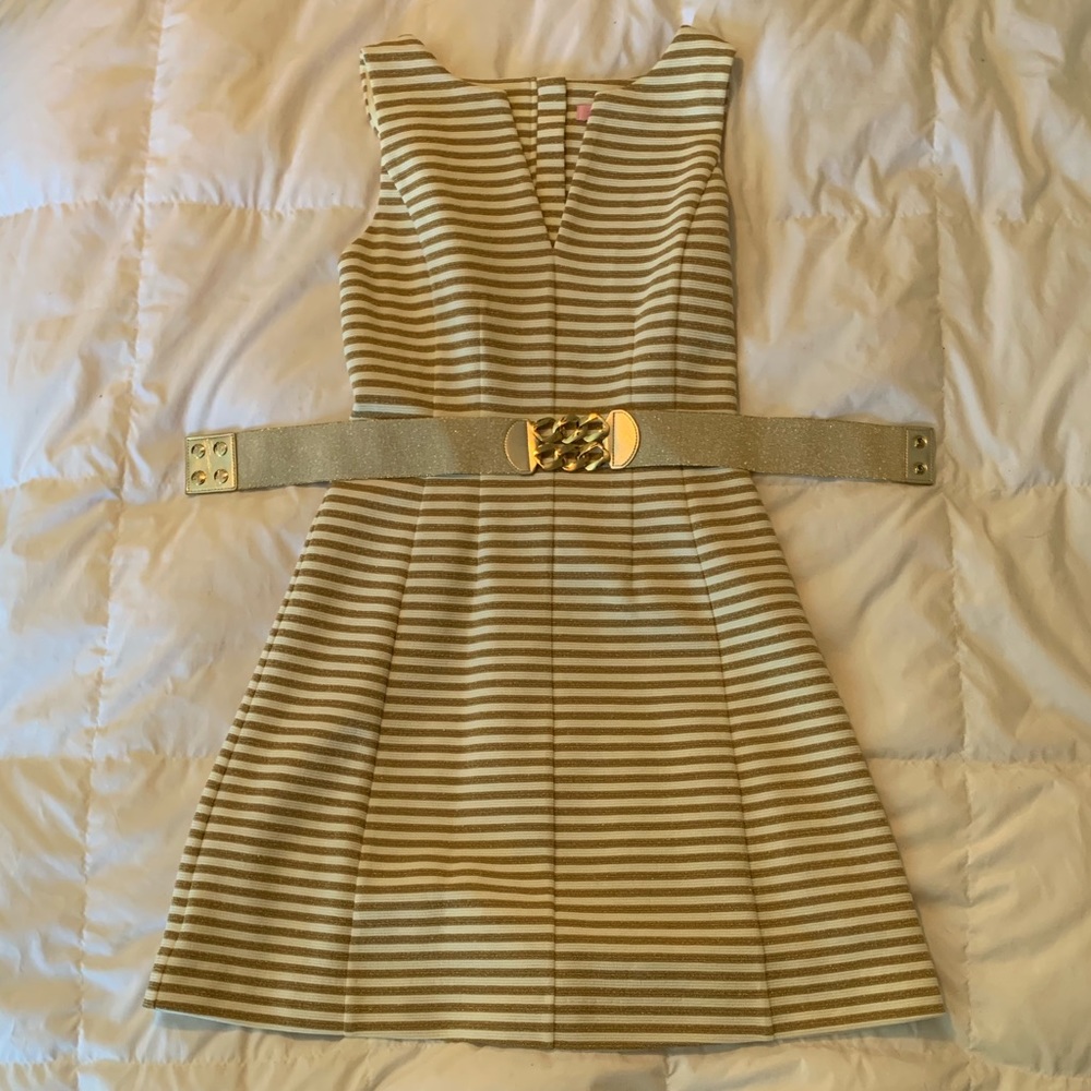 Lily Pulitzer (BNW/OT) Size Small Dress 👗